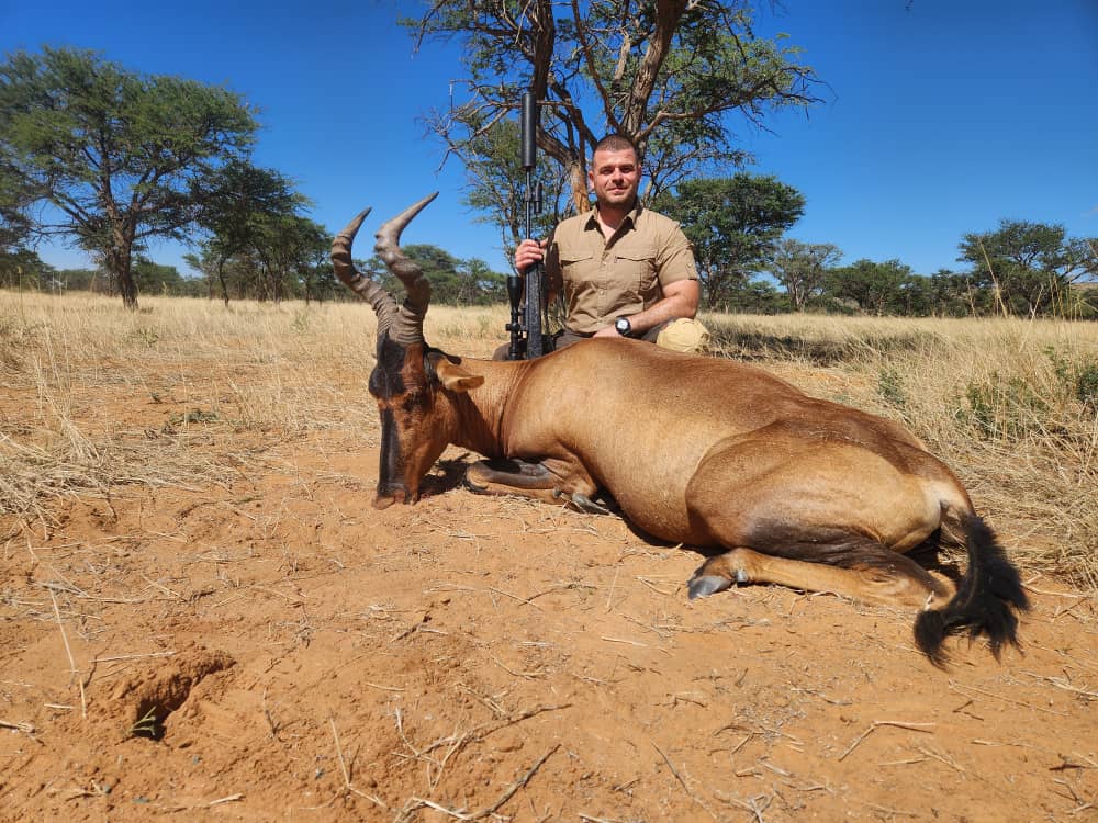 Eland in Namibia
