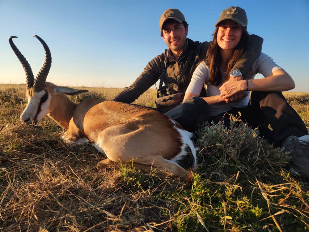 Springbok in Namibia