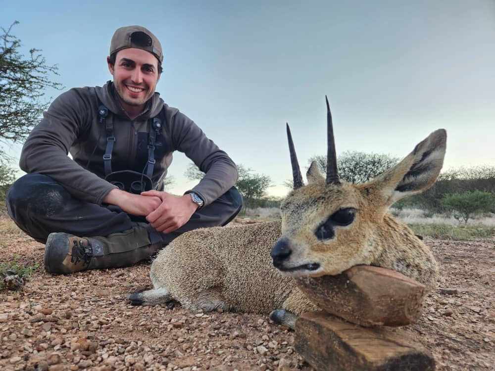 Klipspringer