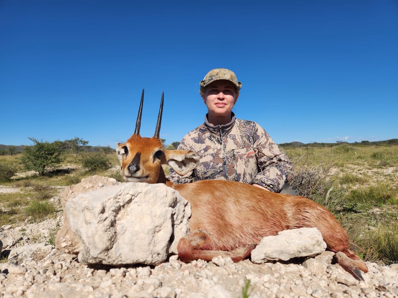 Steenbok