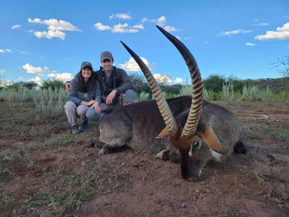 Waterbuck