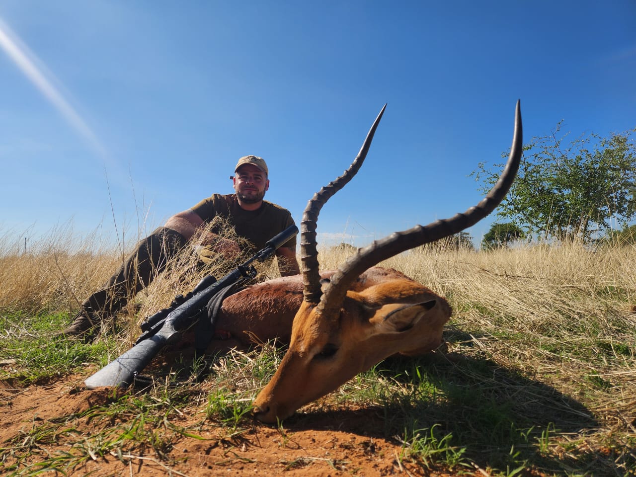 Golden-Hour Impala