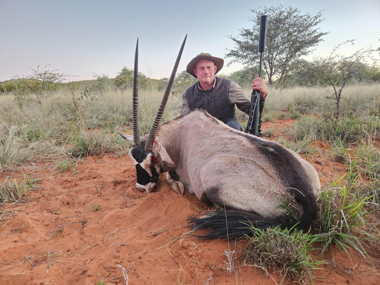 Oryx on the Red Sands